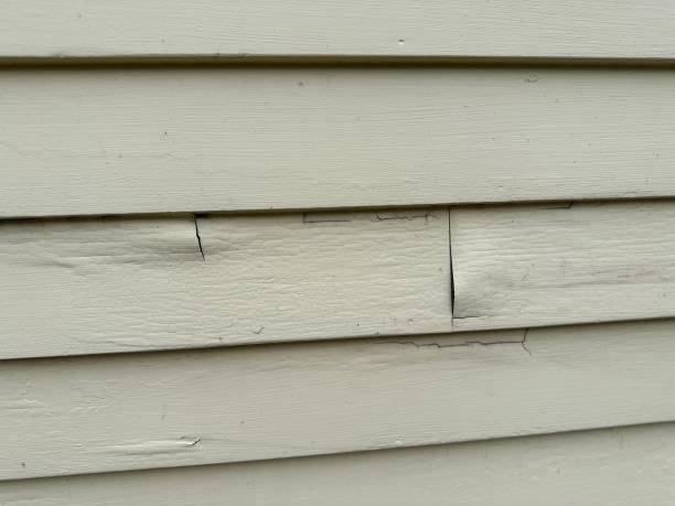 Best Fiber Cement Siding Installation  in Ntgomery City, MO